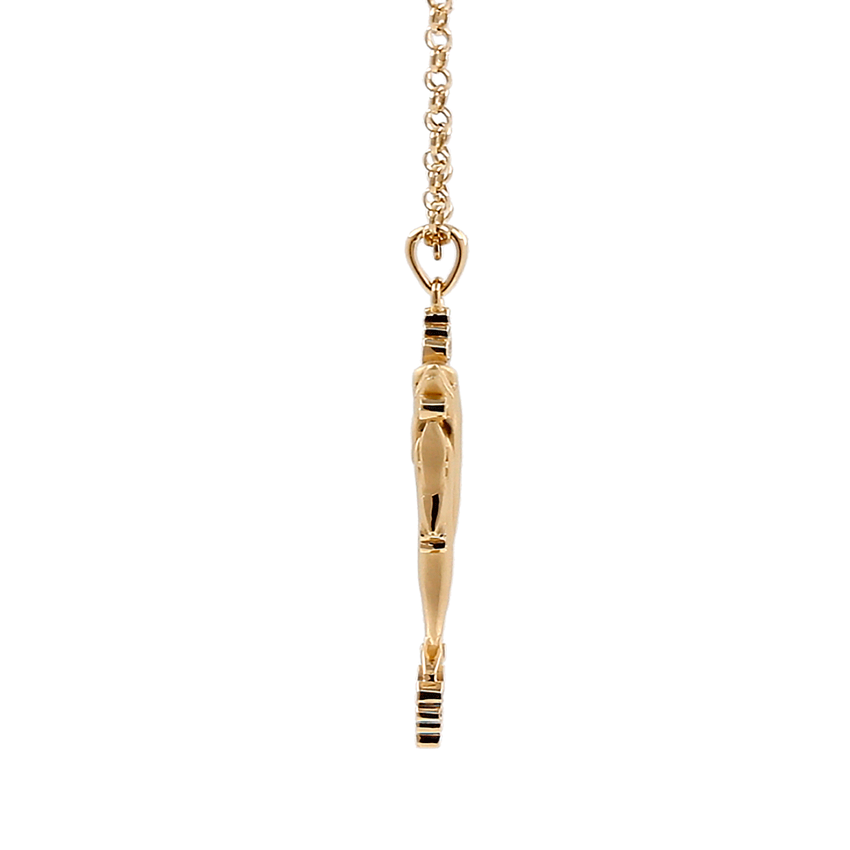 Dolphin gold coin thick chain necklace | Zafari Studio | necklaces